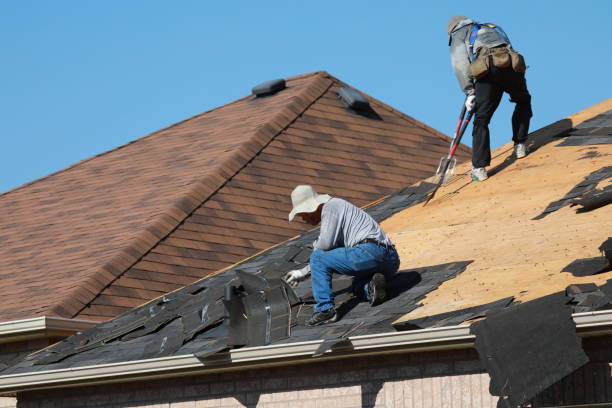 Best Rubber Roofing (EPDM, TPO)  in East Dundee, IL